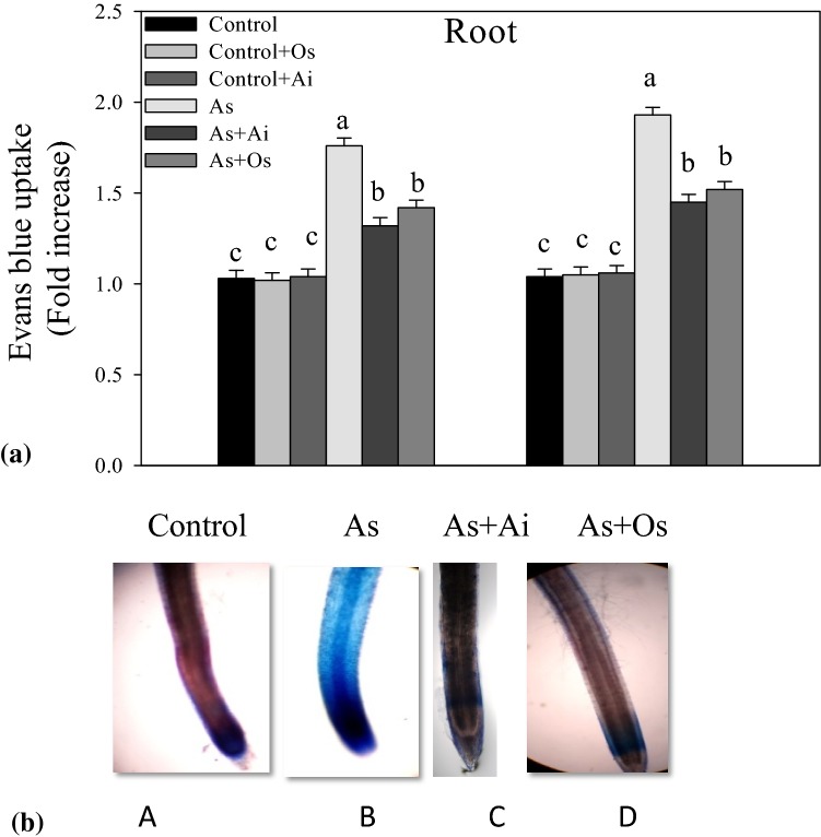 Fig. 6