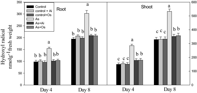 Fig. 4