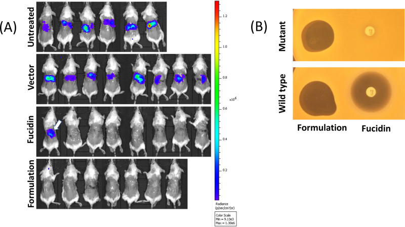 FIG 4