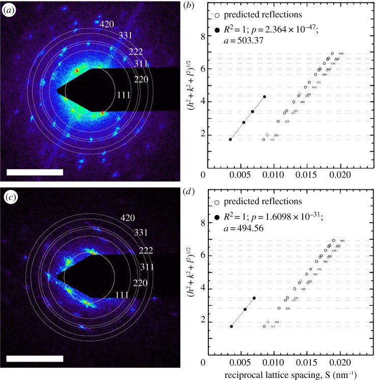 Figure 3.