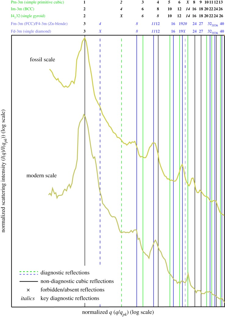 Figure 4.