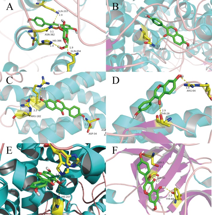 Figure 6