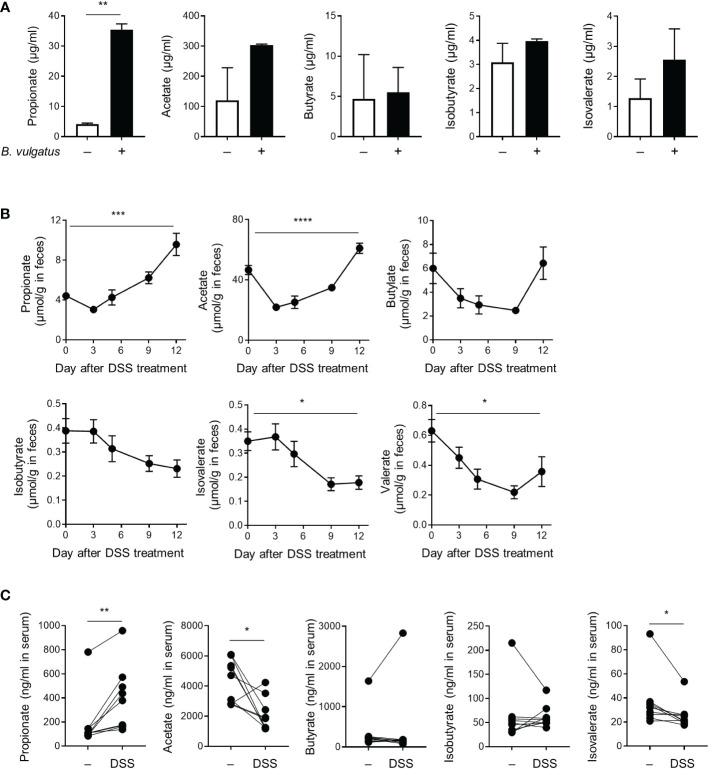 Figure 5