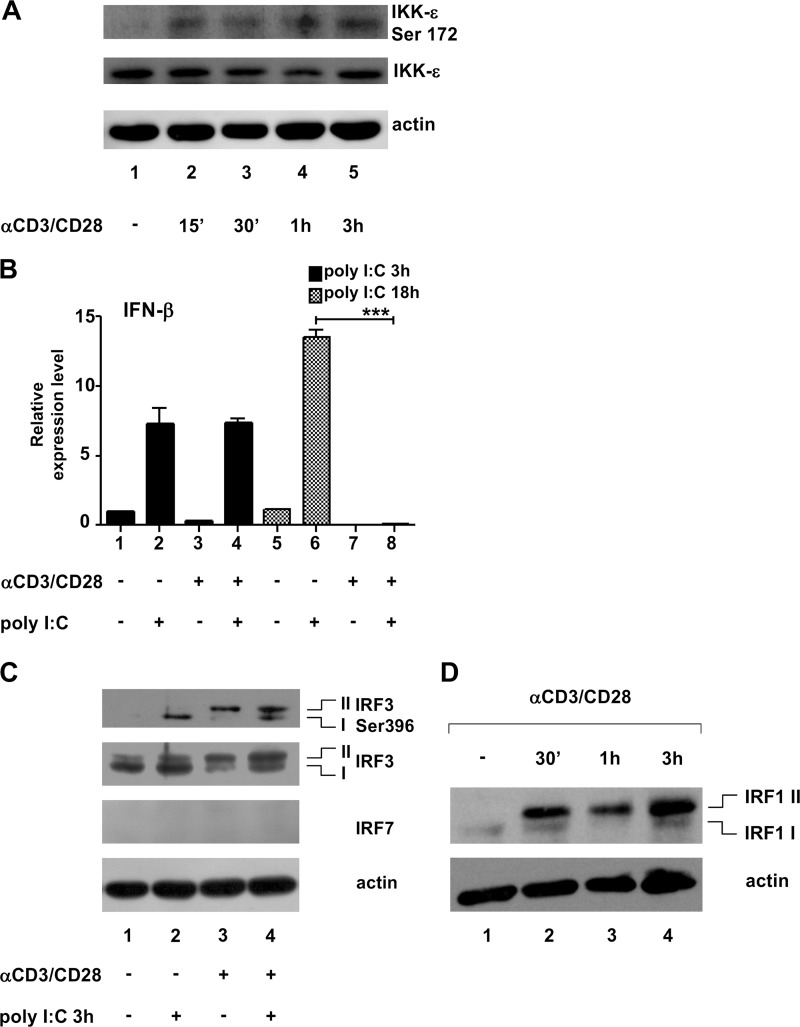 FIG 1