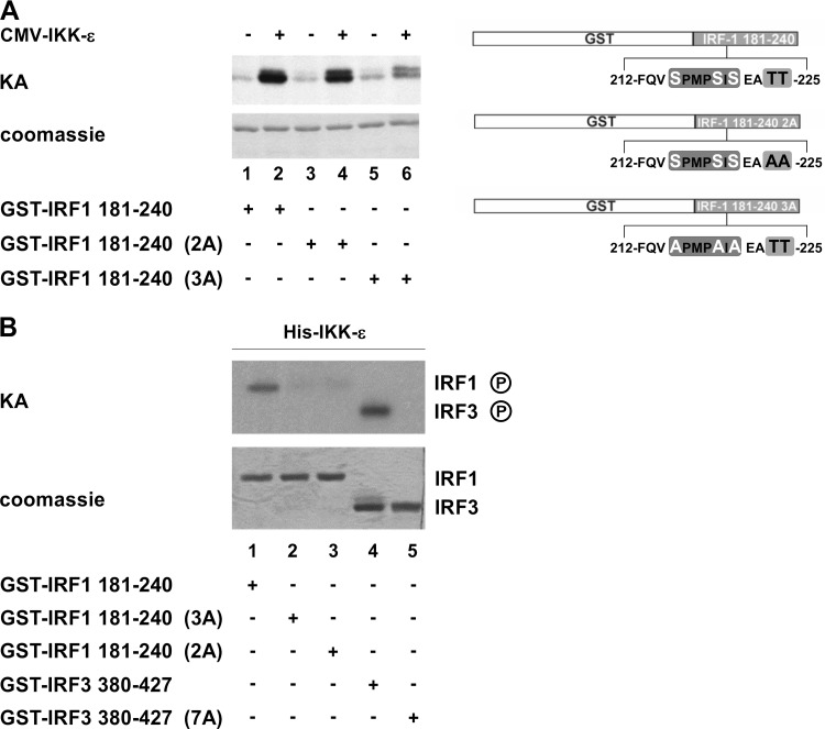 FIG 4