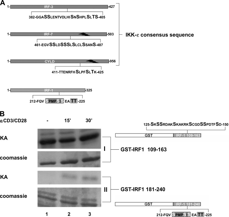 FIG 2