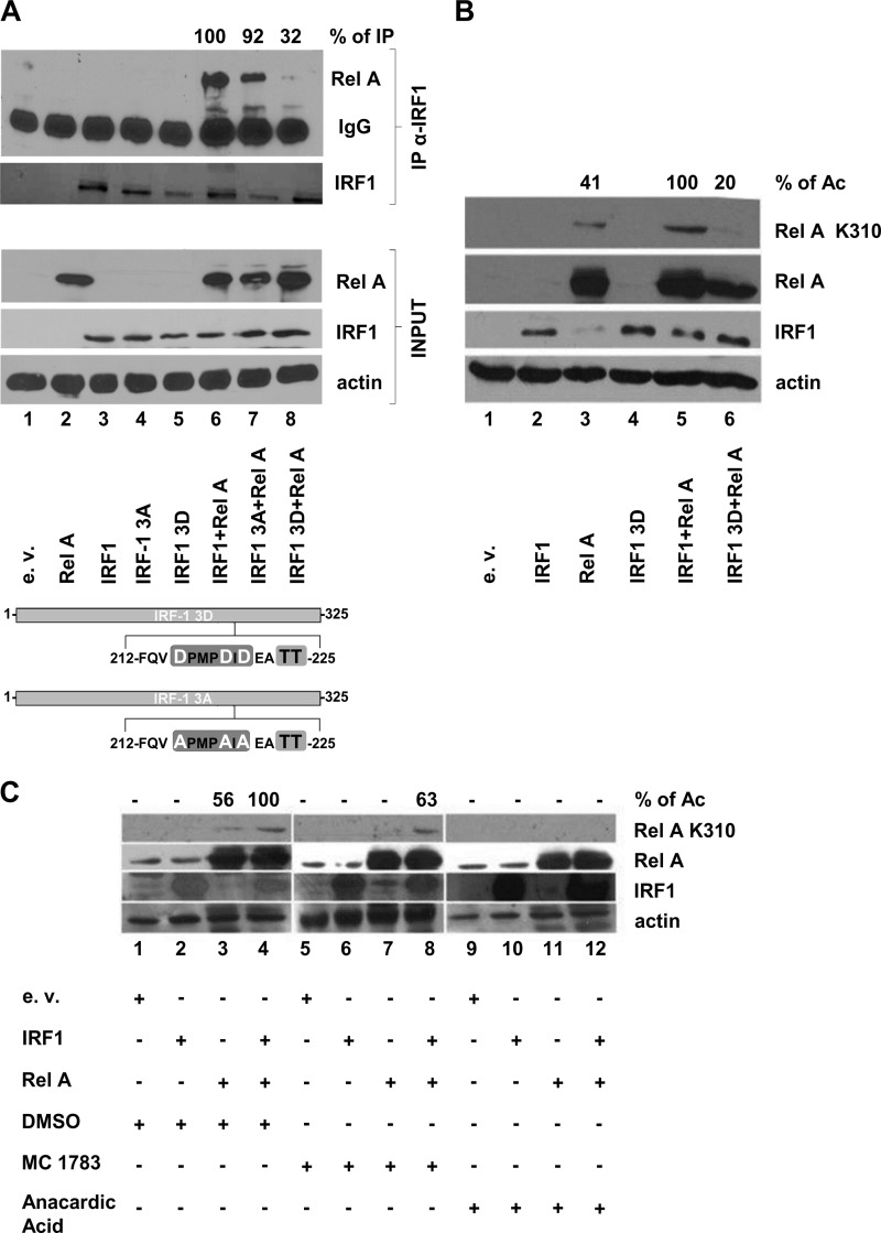 FIG 6