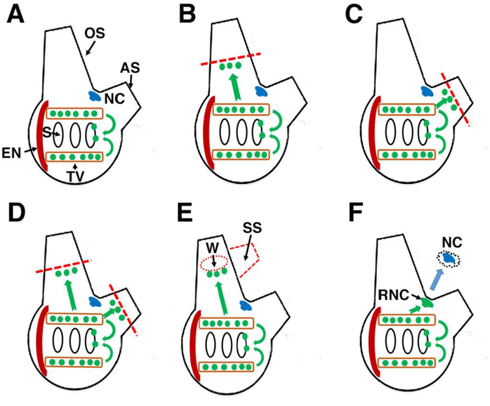 Figure 7.