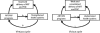 FIGURE 1—