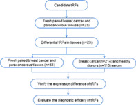 graphic file with name TCA-12-2314-g004.jpg