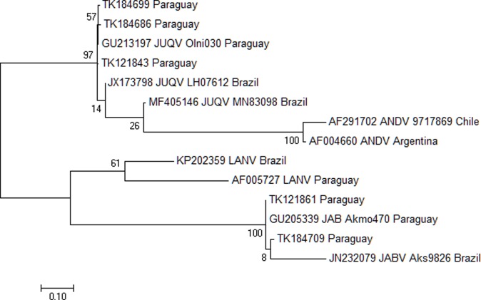 Fig 2