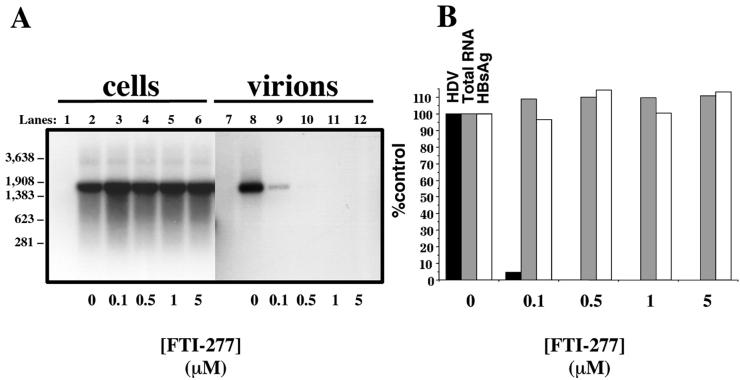 FIG. 5.