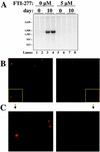 FIG. 4.