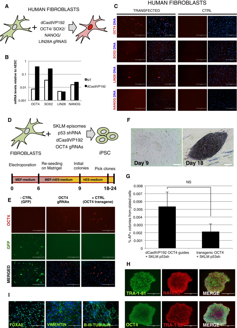 Figure 2