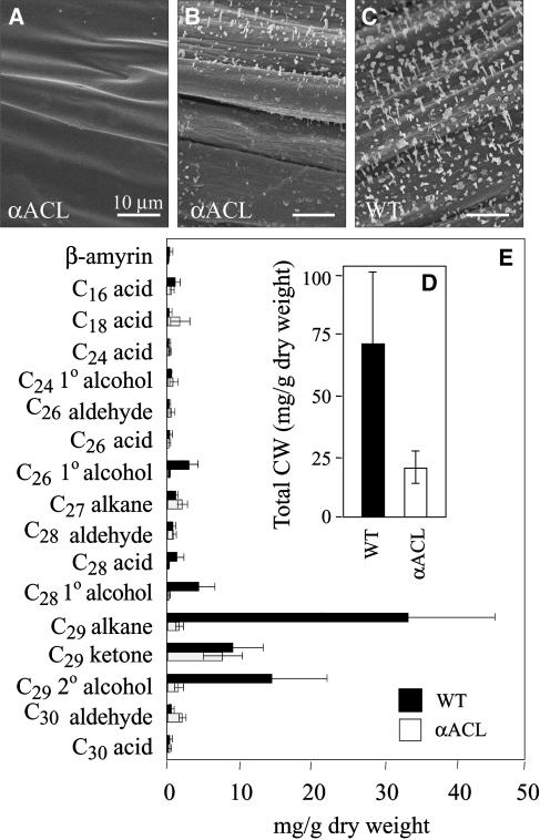 Figure 9.