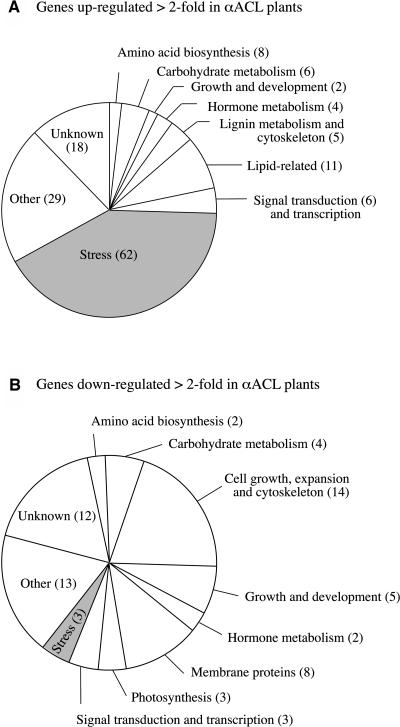 Figure 12.