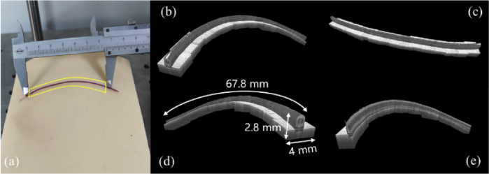 Fig. 14.