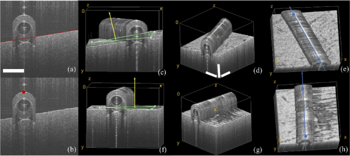 Fig. 7.