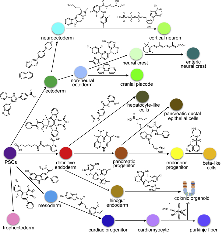 Figure 1