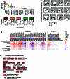 Extended Data Fig. 14