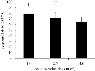 Figure 3.