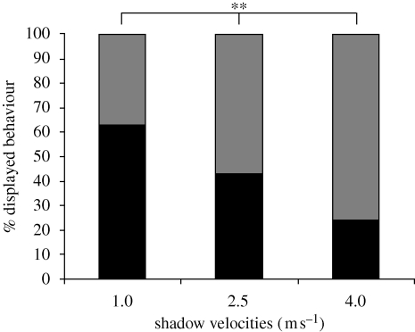 Figure 2.