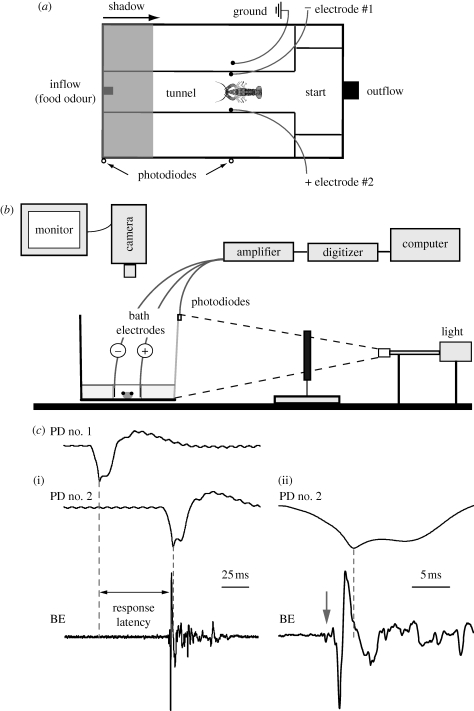 Figure 1.