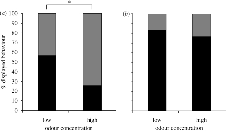 Figure 5.