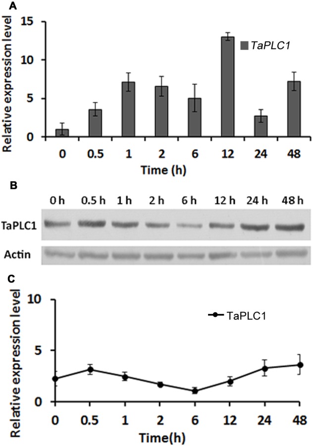 Figure 7