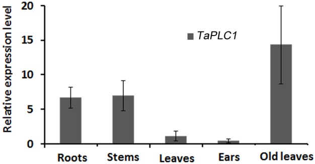 Figure 2