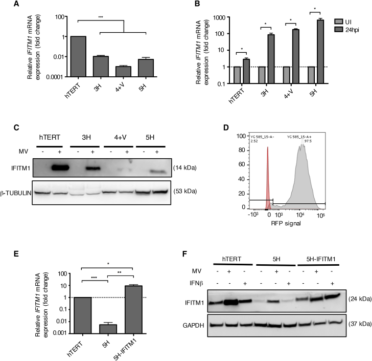 Figure 6