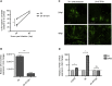 Figure 7