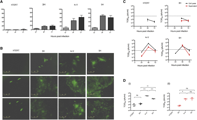 Figure 2