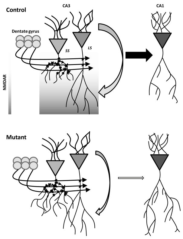 Fig. 9