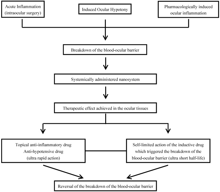 Scheme 4