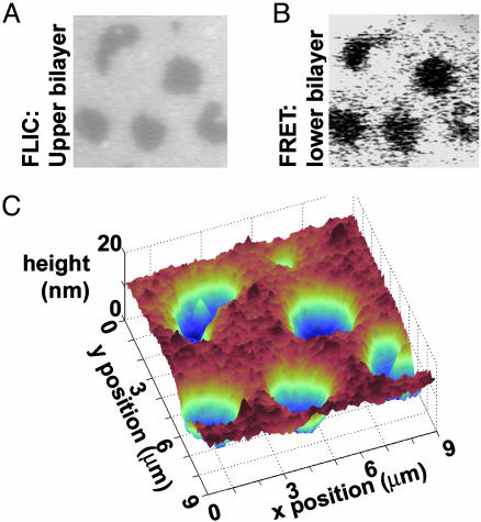 Fig. 3.