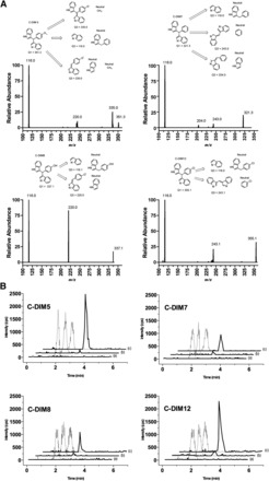 Fig. 2.