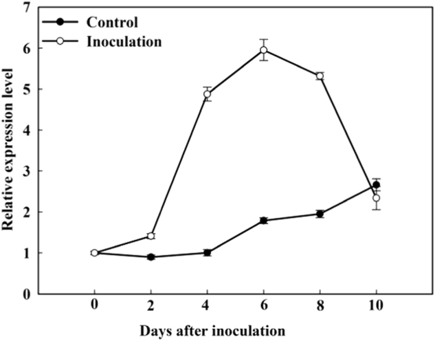 Fig. 1