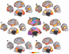 Fig. 35.