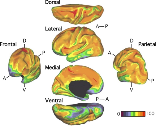 Fig. 3.