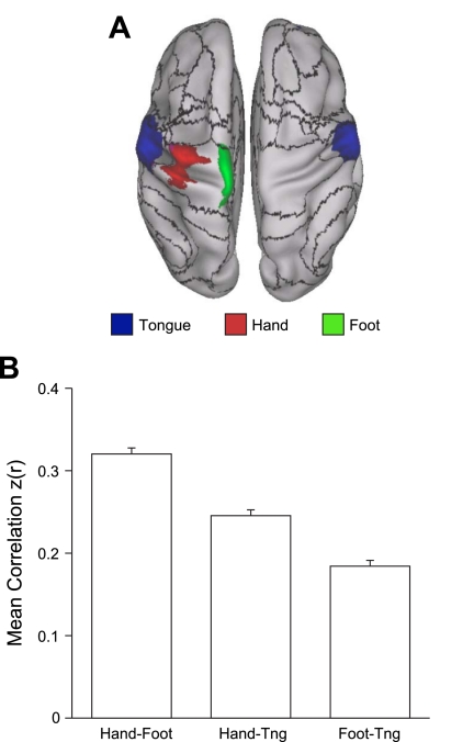 Fig. 20.