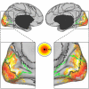 Fig. 15.