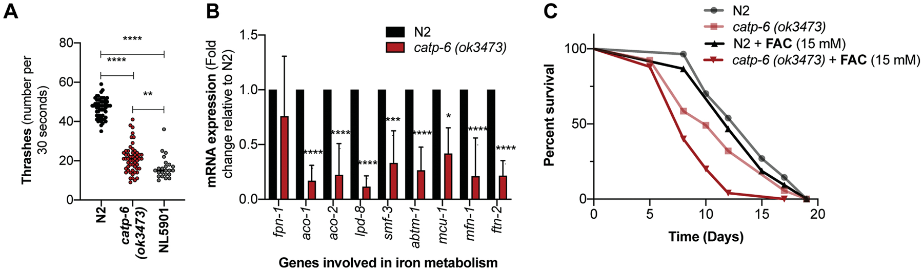 Figure 2: