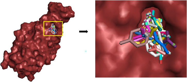 FIGURE 3