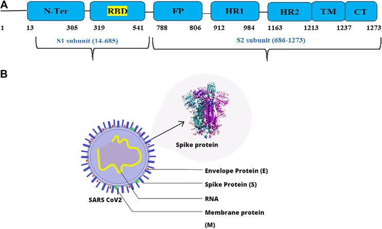 FIGURE 1