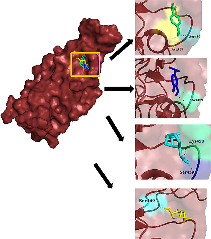 FIGURE 2