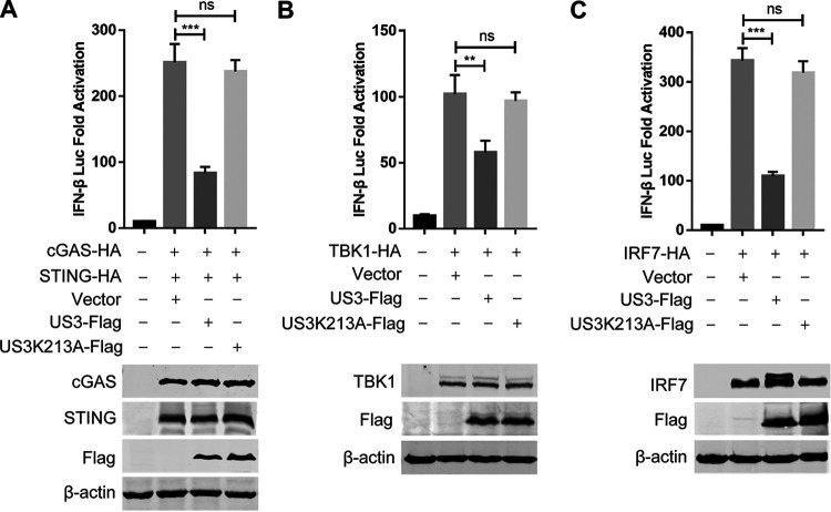 FIG 3