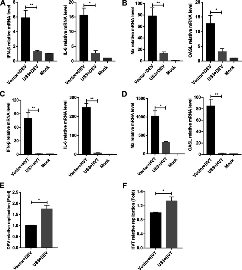 FIG 2