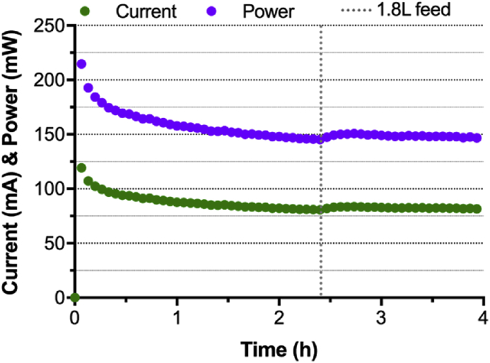 Fig. 3