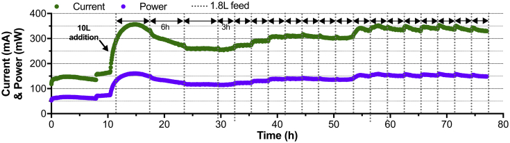 Fig. 2